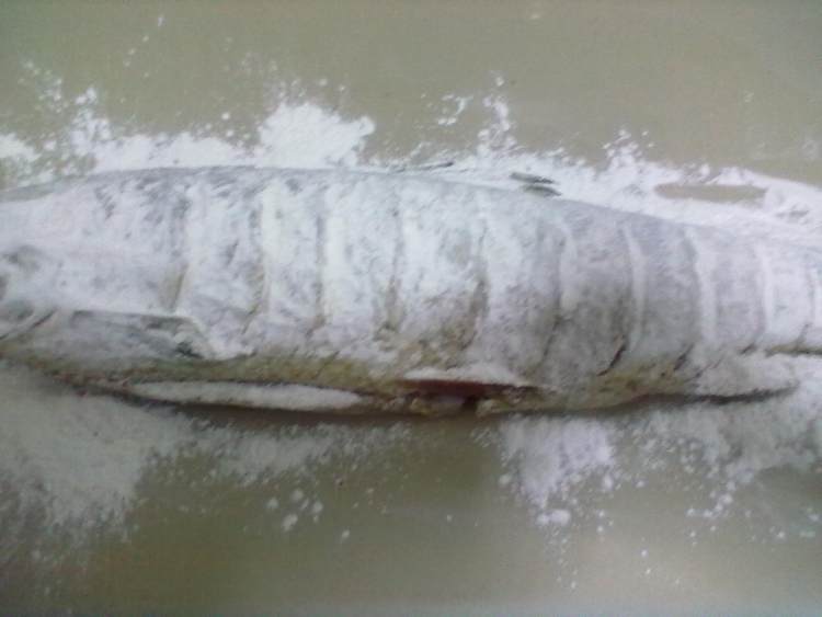 脆皮全鱼步骤3
