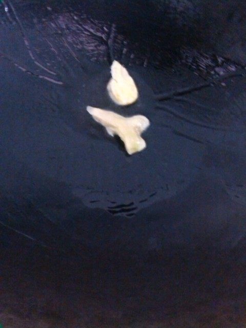 木瓜玉米鱼汤步骤5