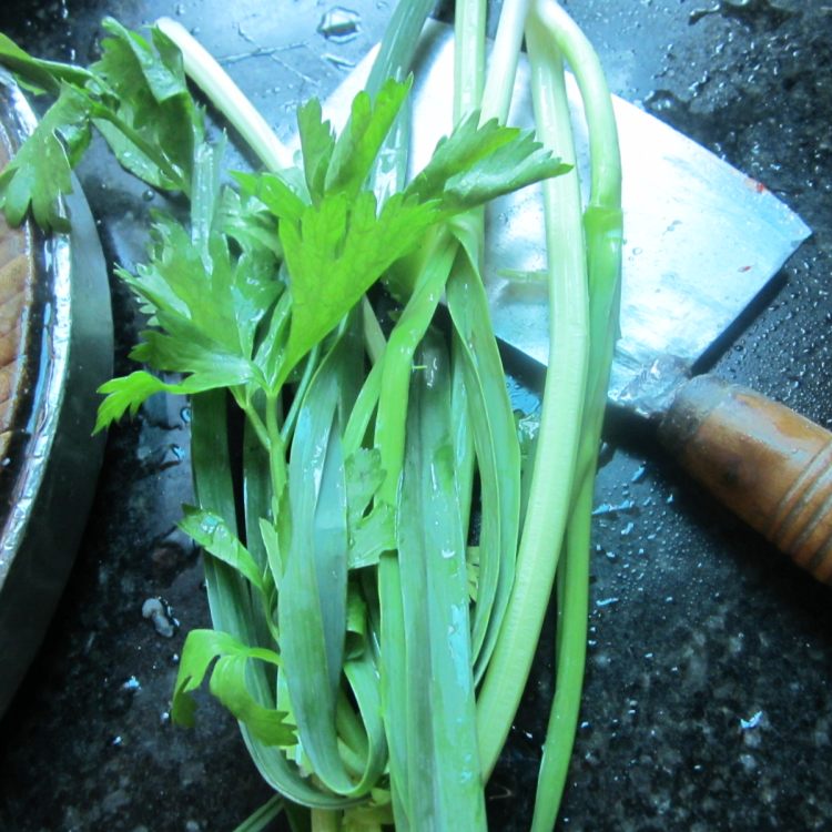 香芹大蒜鱼汤香锅步骤1