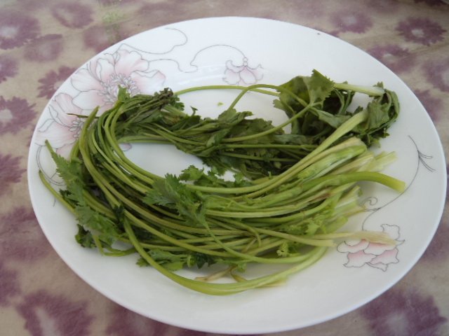 茄汁鱼丸步骤4
