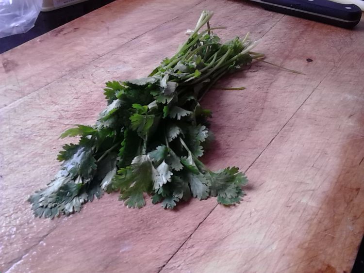 红烧草鱼段步骤4