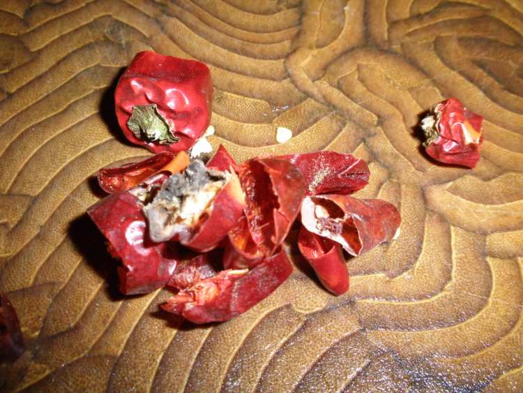 糖醋酱烧鱼步骤2