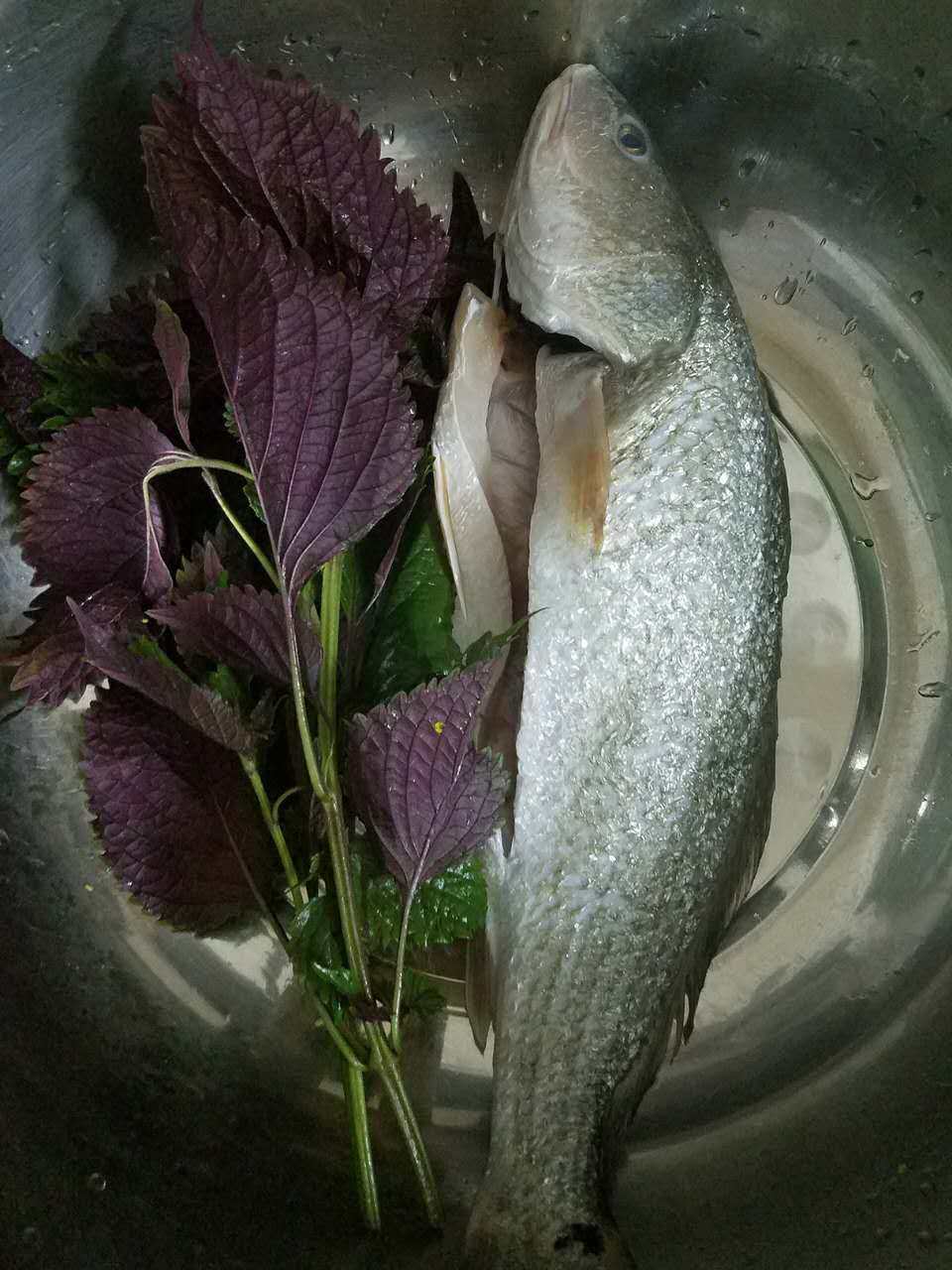 紫苏焖鲈鱼步骤1