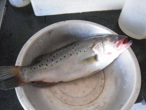 蒜油鲈鱼步骤1
