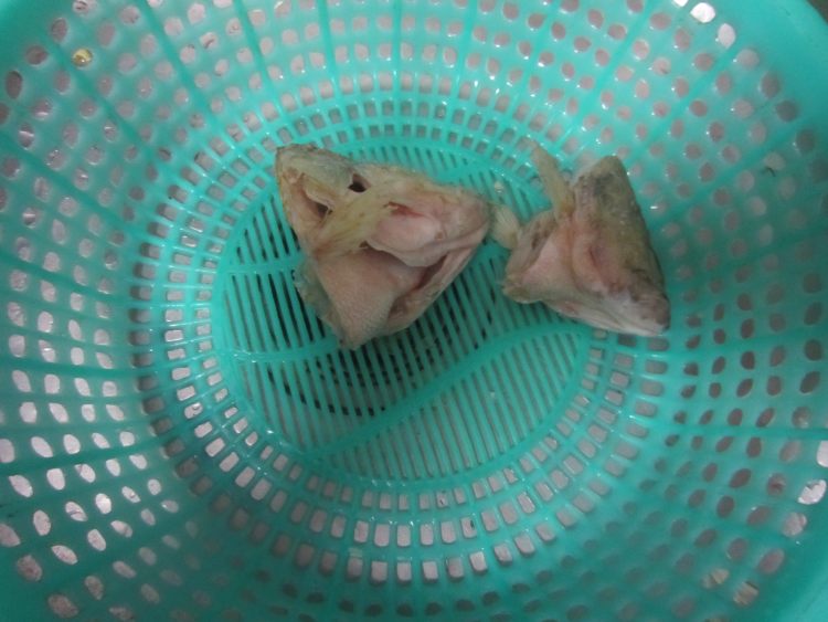 鲈鱼粉皮汤步骤1