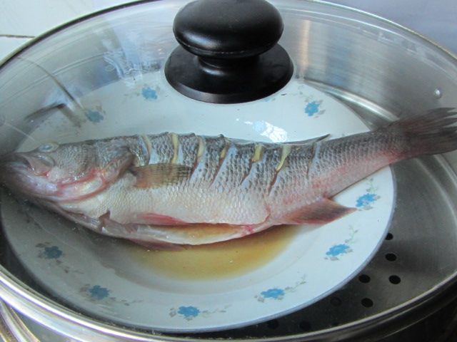 葱油清蒸鲈鱼步骤5