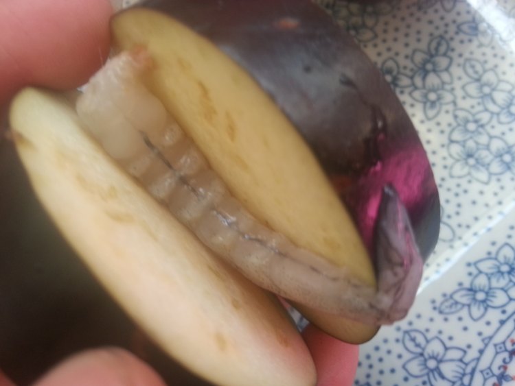 鱼香茄子盒步骤4