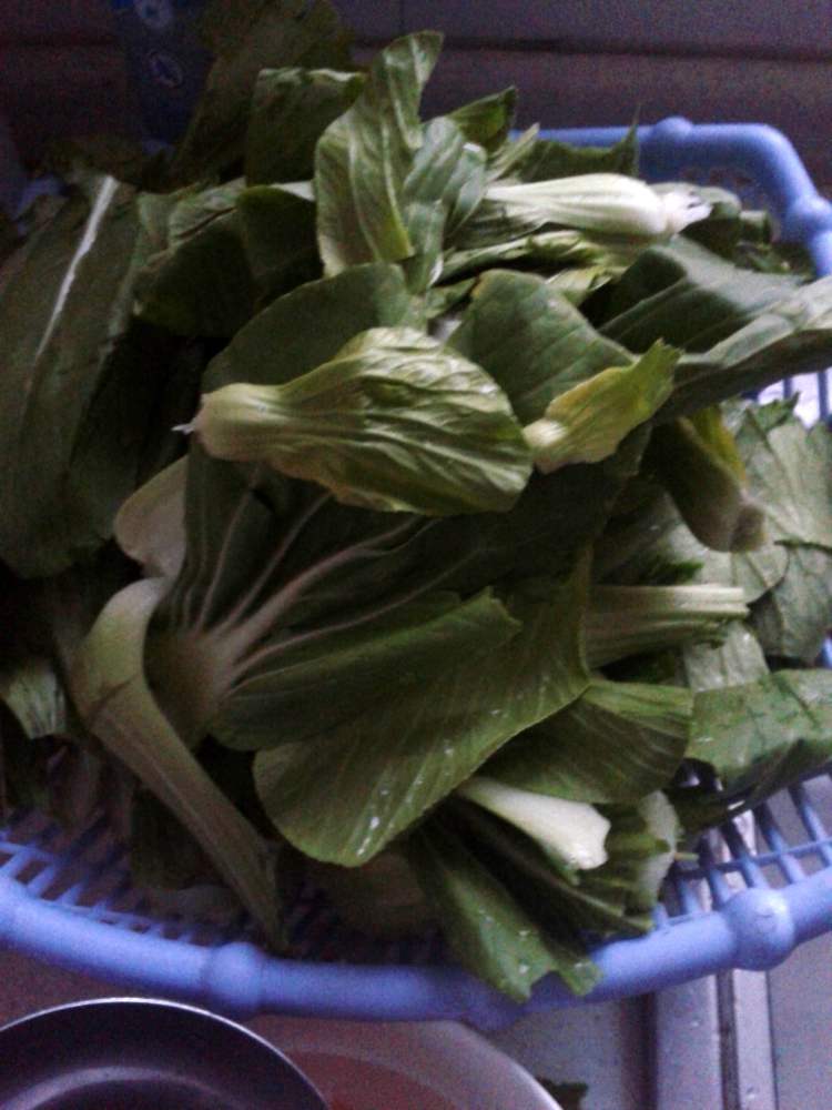 小油菜炒虾仁步骤2
