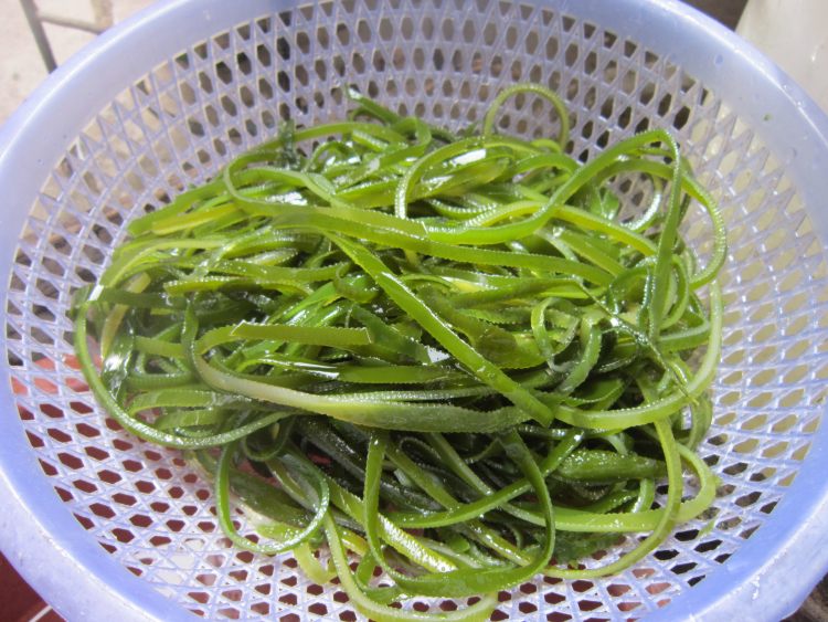 五花肉炒海带丝步骤1