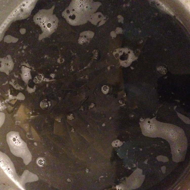 木瓜绿豆海带糖水步骤6