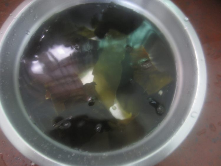 苹果海带瘦肉汤步骤3