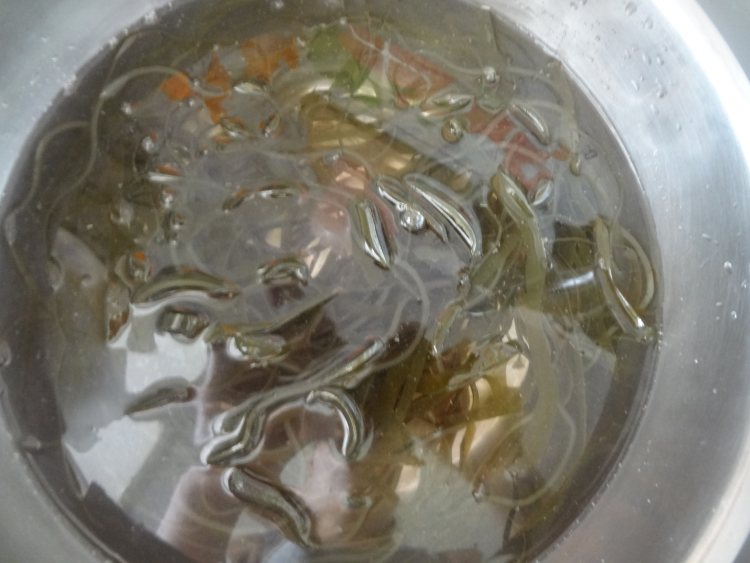老干妈拌海带丝步骤6