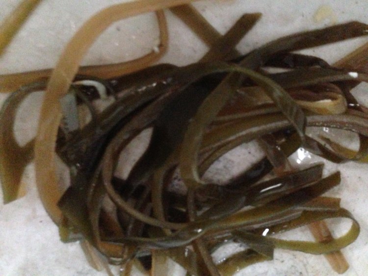 海米豆腐烧海带步骤3