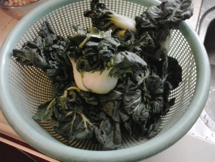白菜烧肉炒海带步骤1