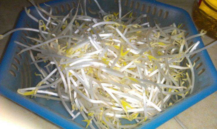 海带绿豆芽步骤1