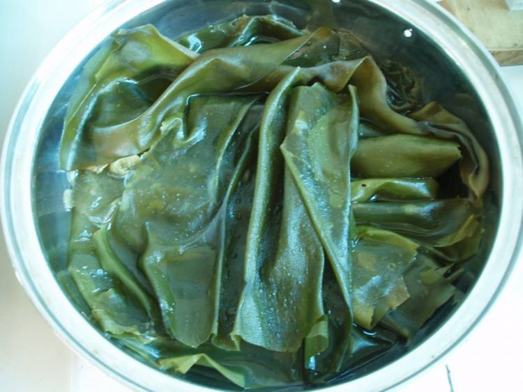 蒜香肉末海带步骤1