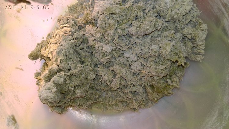 花式奶香馒头步骤1
