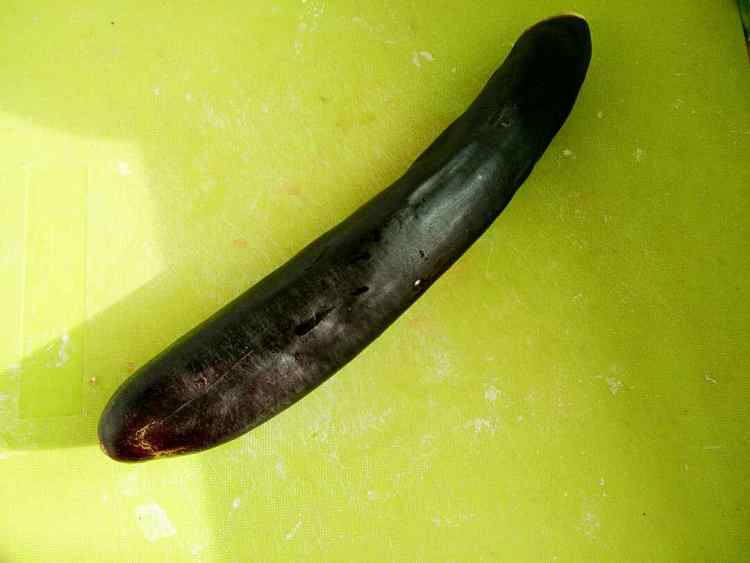 东北小菜生拌茄子步骤1