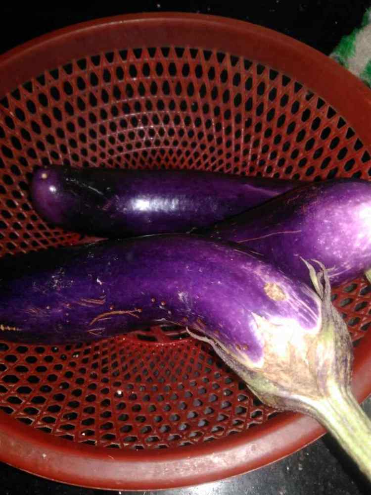炒腌茄子步骤1