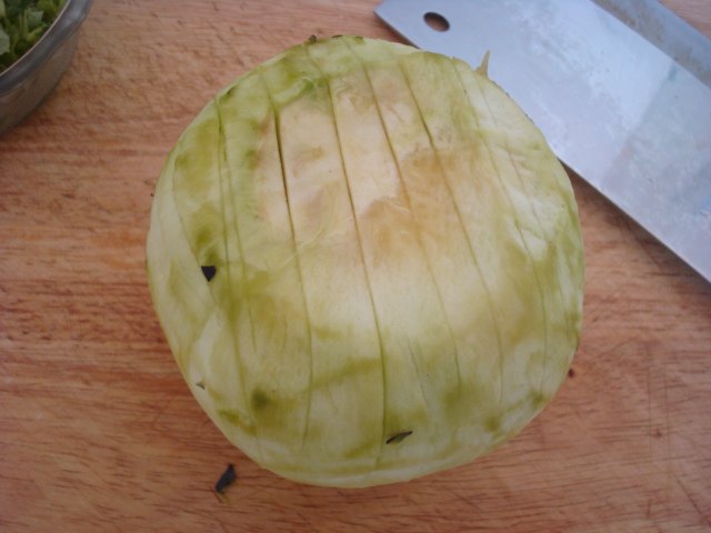 素烧茄子步骤2