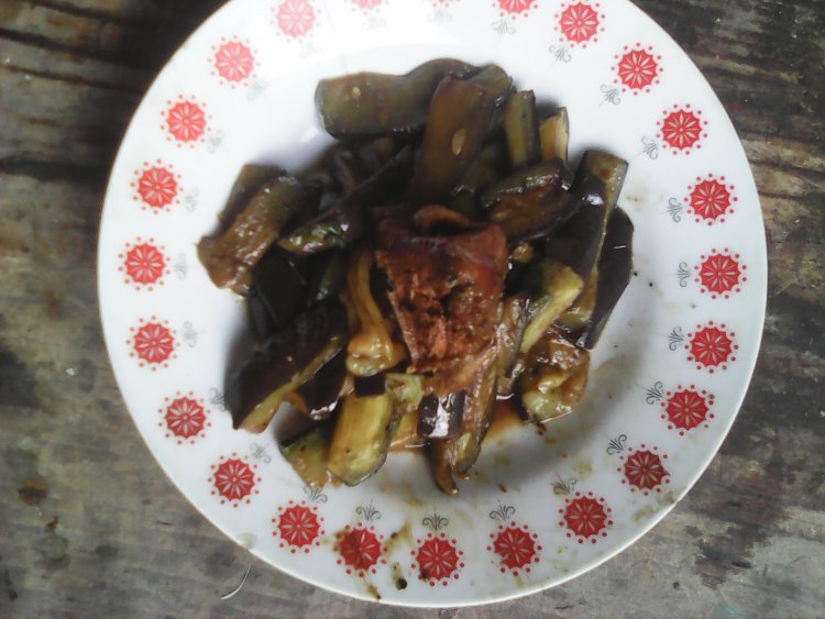 肉味茄子条步骤8