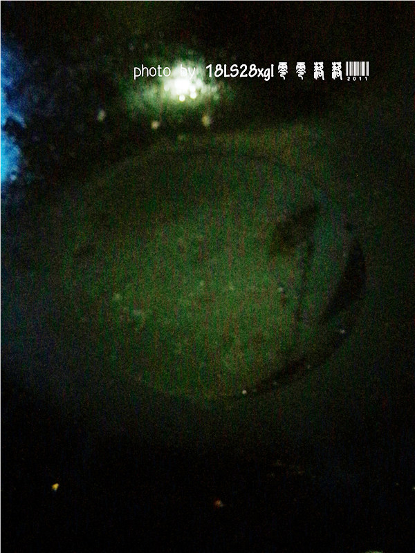 青椒烧茄子步骤3