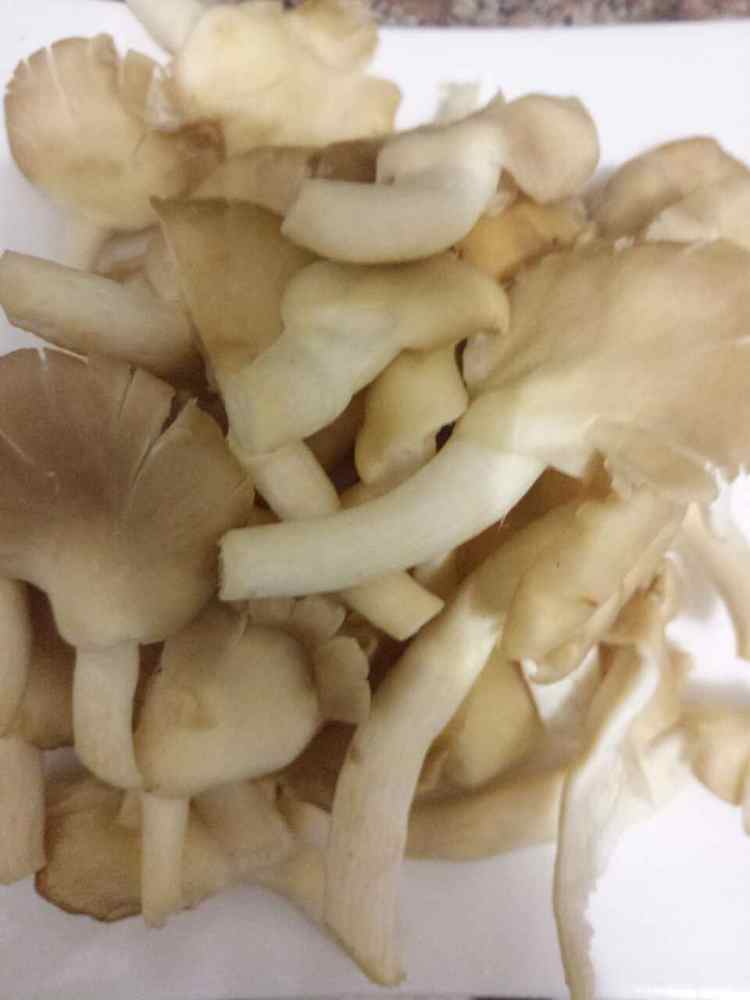 双椒肉沫炒蘑菇步骤1