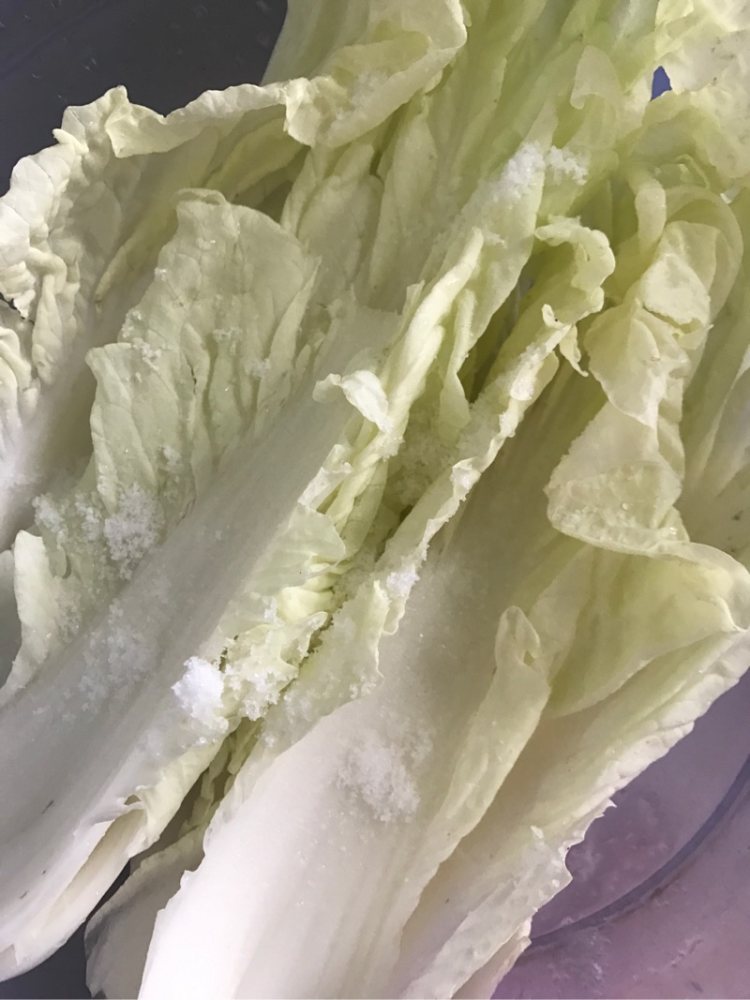 腌渍开胃小菜步骤4