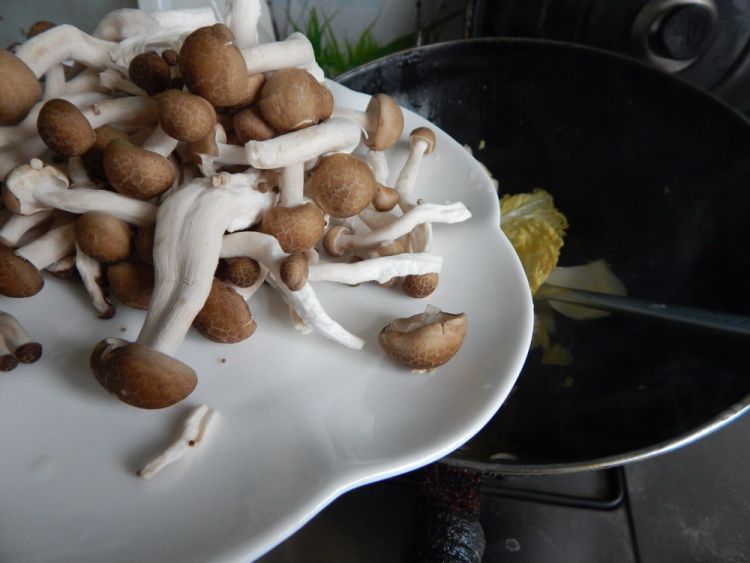 白菜炒蟹味菇步骤4