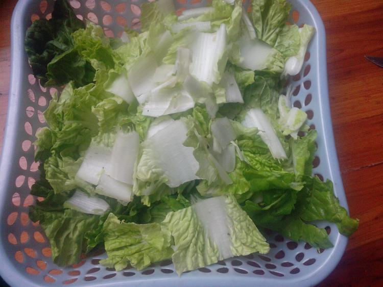 辣炒散白菜步骤2