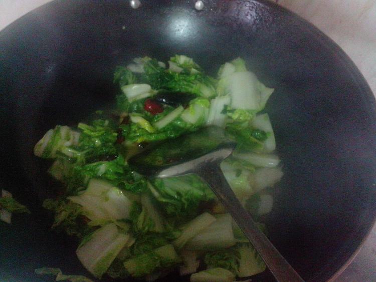 辣炒散白菜步骤8