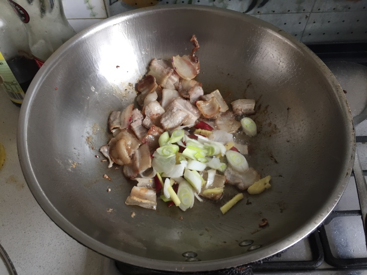 白菜肉片炖粉皮步骤4