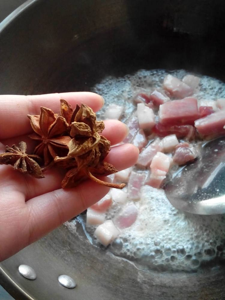 红烧肉炖白菜步骤4