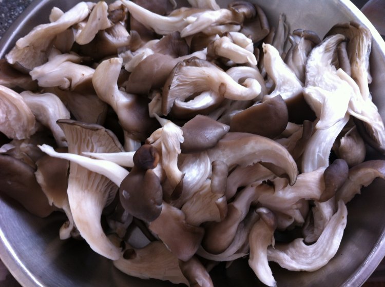 白菜鲜蘑炒肉步骤2