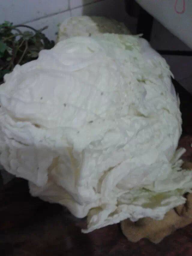 家常粉丝白菜步骤1