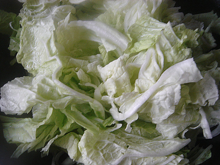 白菜肉炖粉条步骤3