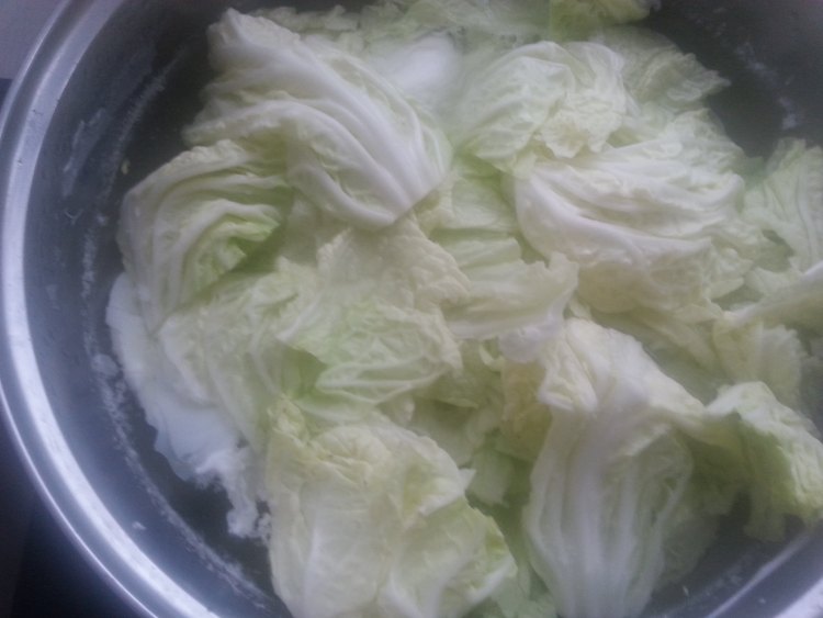 白菜煮面步骤4