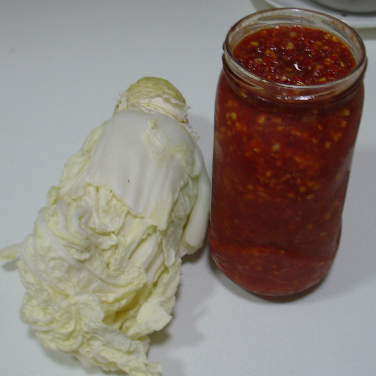 简易辣白菜步骤1