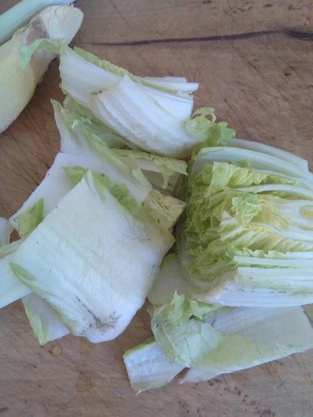 烫面猪肉白菜馅饼步骤1