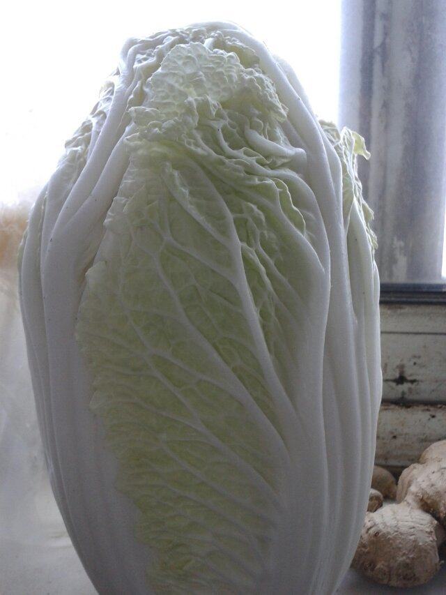 家常炒小白菜步骤1