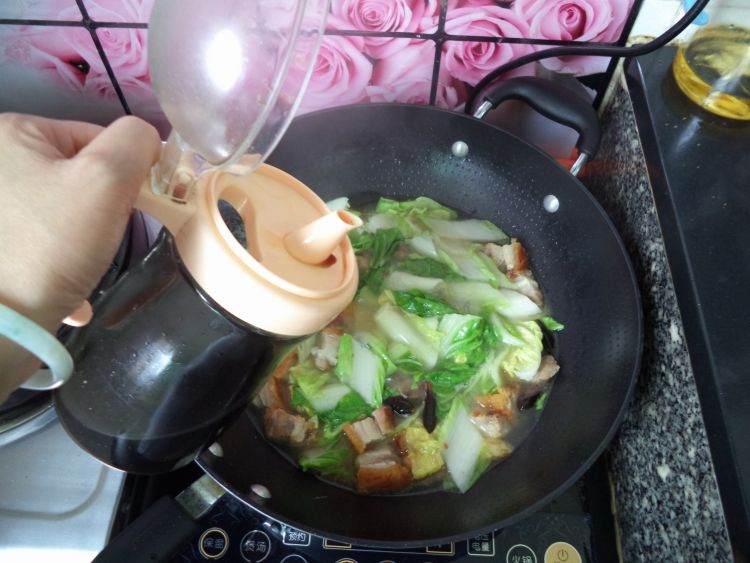 烧肉炖白菜豆腐步骤10