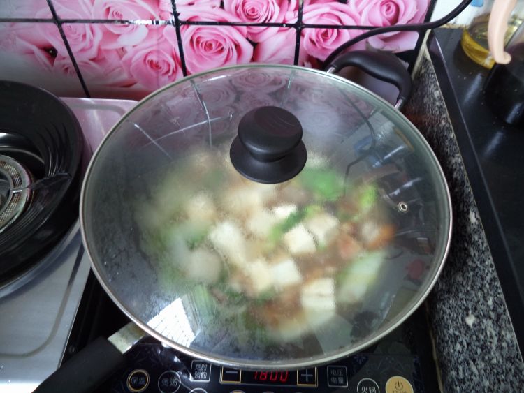 烧肉炖白菜豆腐步骤12