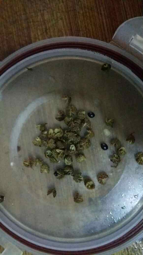 仔姜炒山蛙步骤4