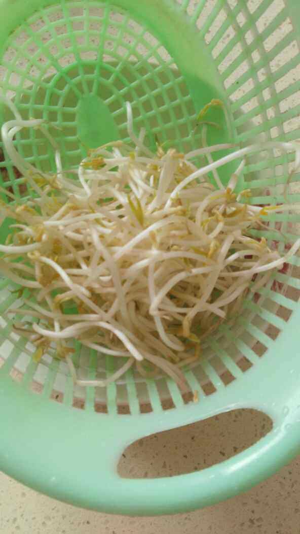 银芽青菜炒面步骤2