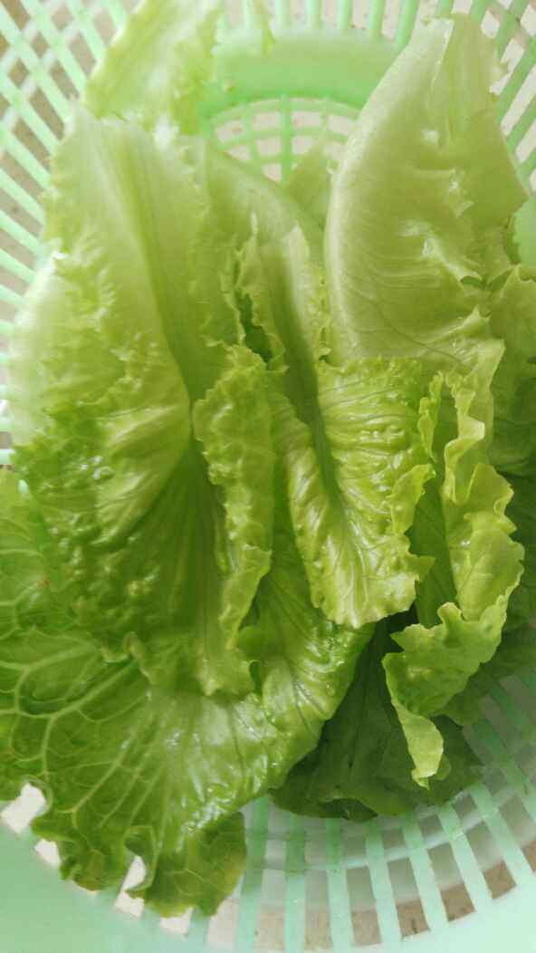 银芽青菜炒面步骤3