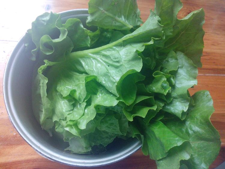 生菜炒豆腐步骤3