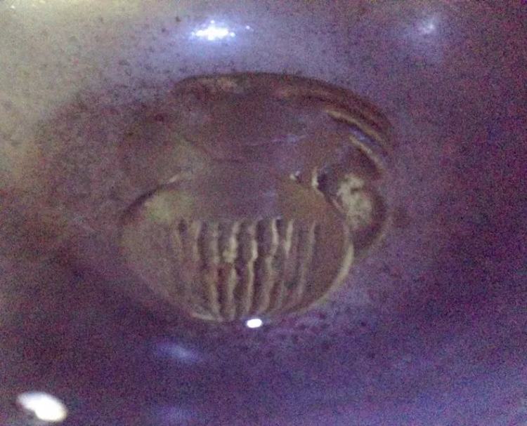 【手工美食】蚝油生菜步骤7