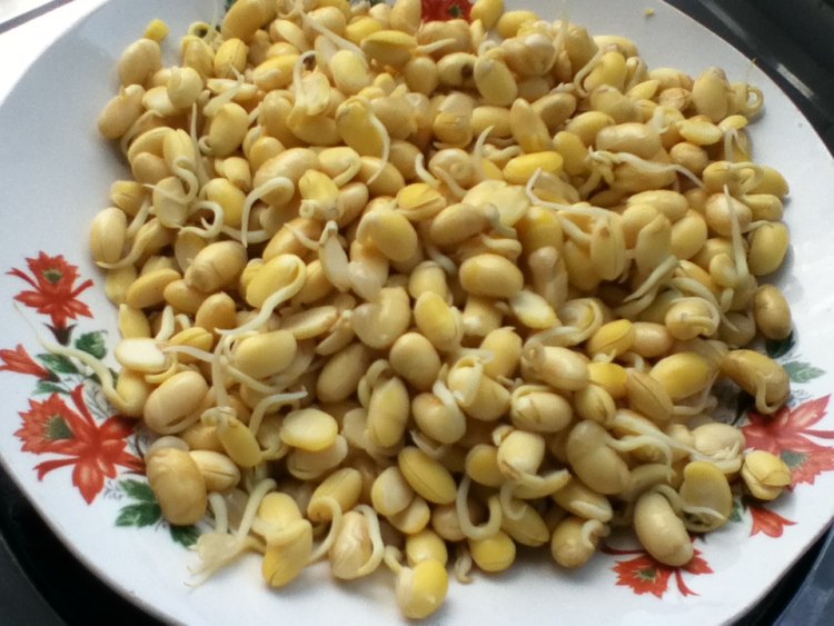 黄豆芽生菜汤步骤1
