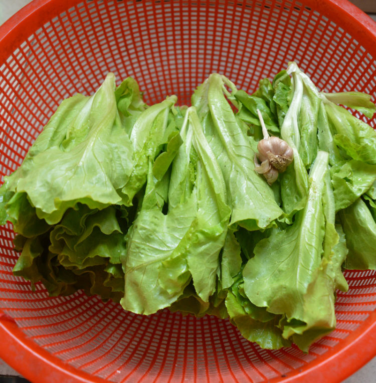 蒜炒生菜步骤1