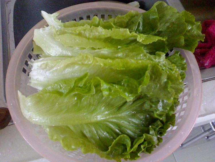 猪油渣炒生菜步骤1